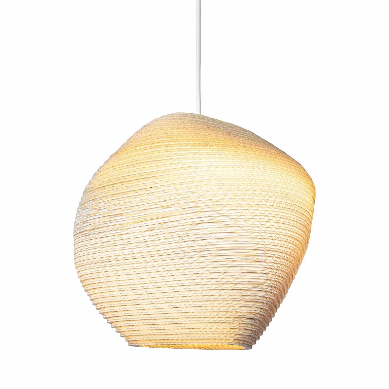 Track lighting with adjustable armsAllyn Pendant Light